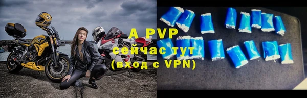 ПСИЛОЦИБИНОВЫЕ ГРИБЫ Богданович