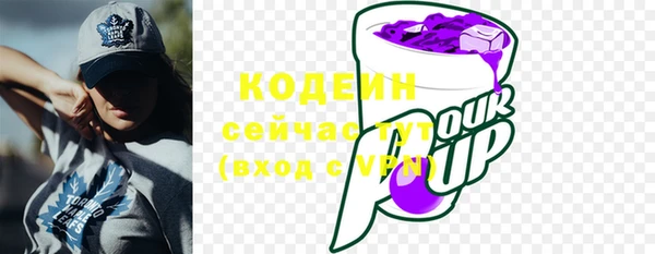 ПСИЛОЦИБИНОВЫЕ ГРИБЫ Богданович
