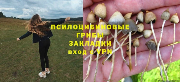 гашиш Богородицк